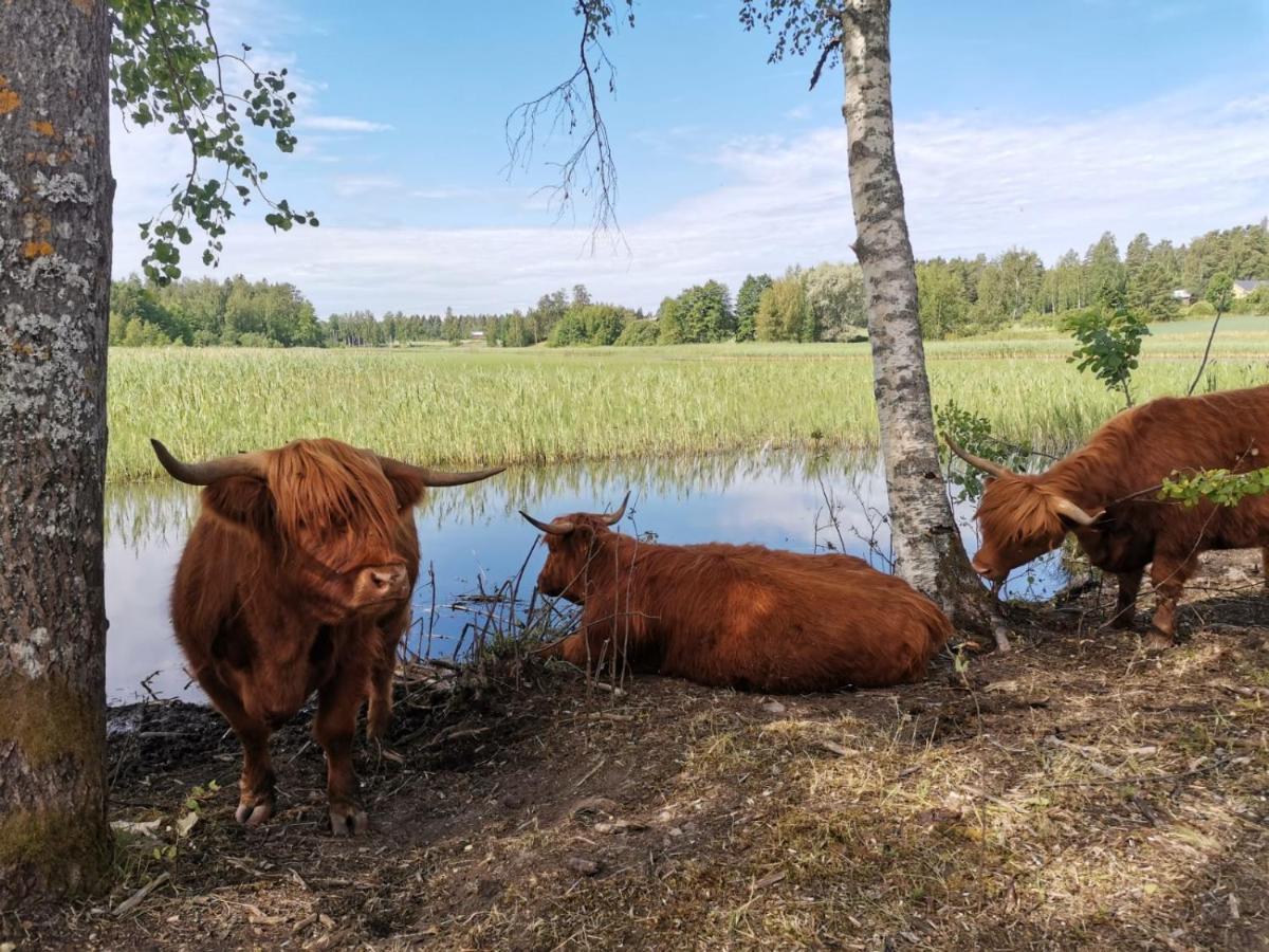 Isotalo Farm At Enaejaervi Lake Salo  Zewnętrze zdjęcie