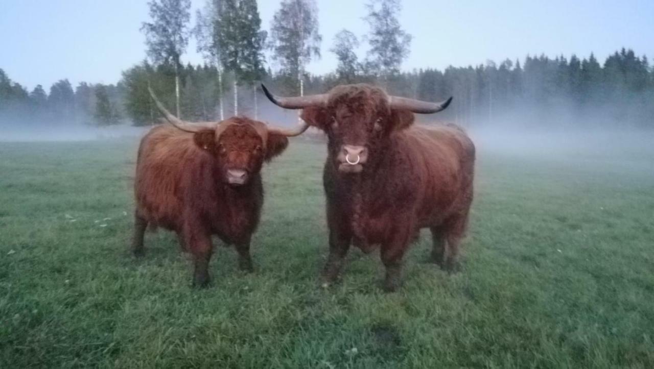 Isotalo Farm At Enaejaervi Lake Salo  Zewnętrze zdjęcie